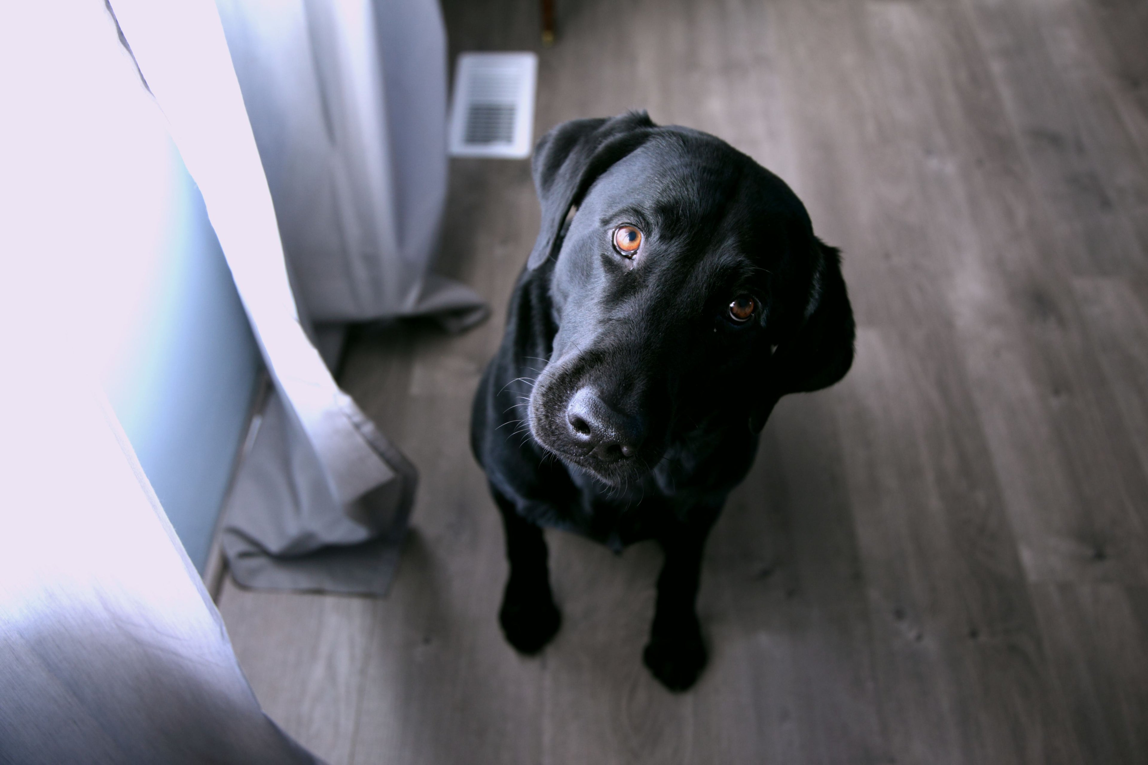 Photo de Alexander Grey sur Unsplash