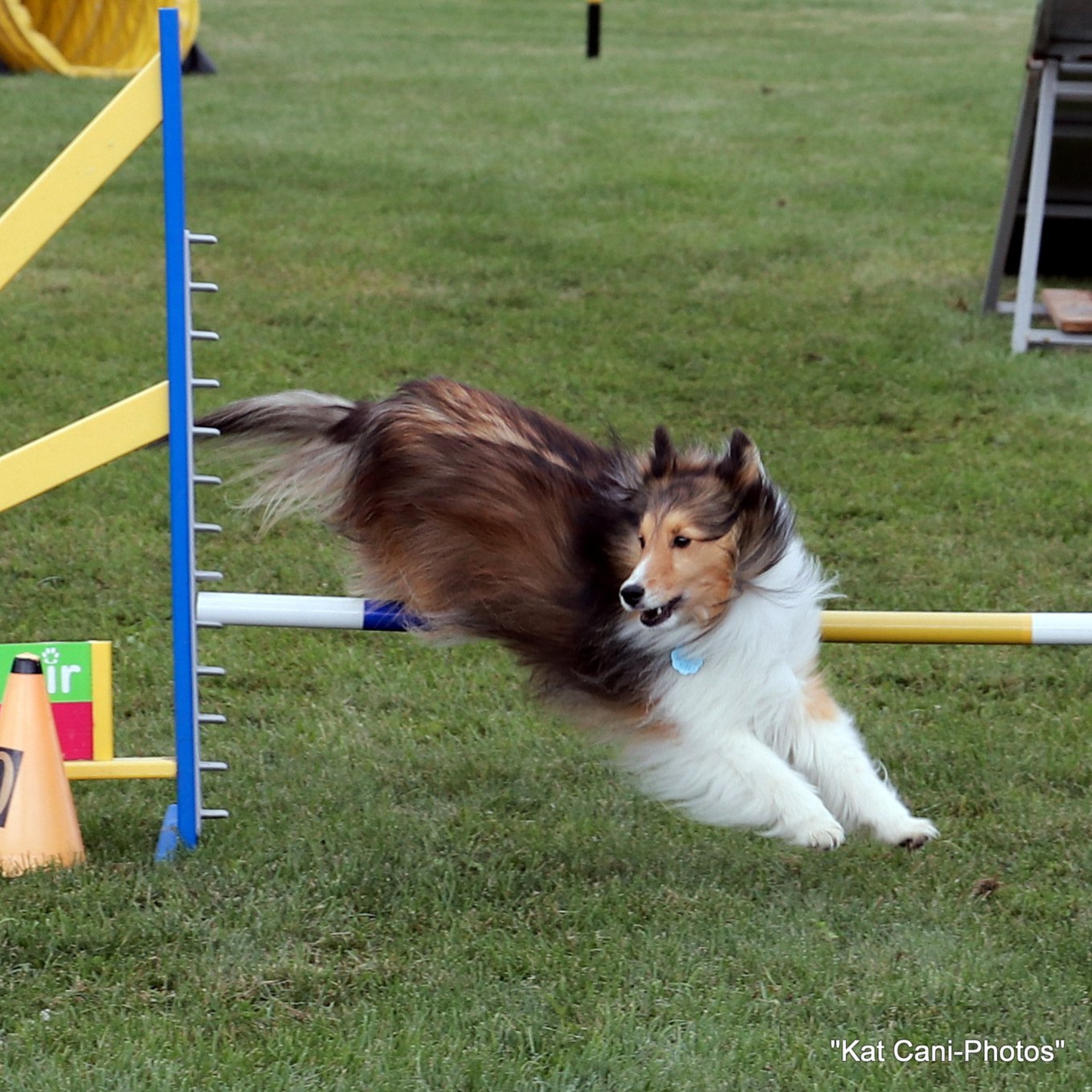 Techniques de maniement en agilité